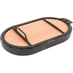 Filtre SDF 090016259