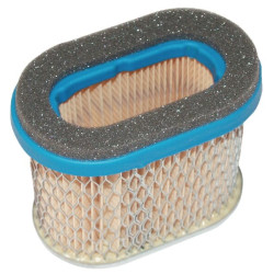 Filtre BRIGGS ET STRATTON 692446