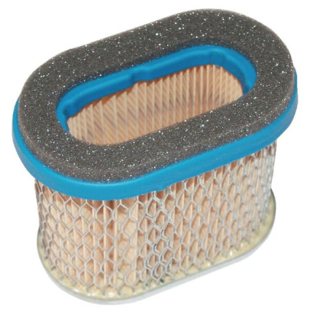 Filtre BRIGGS ET STRATTON 692446
