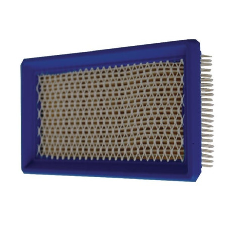 Filtre BRIGGS ET STRATTON 4145