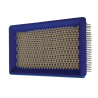 Filtre BRIGGS ET STRATTON 4145