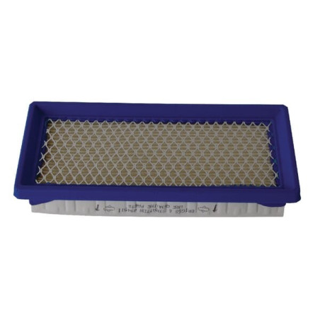 Filtre BRIGGS ET STRATTON 4145