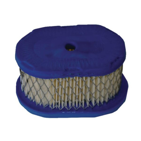 Filtre BRIGGS ET STRATTON 4197