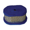 Filtre BRIGGS ET STRATTON 4197