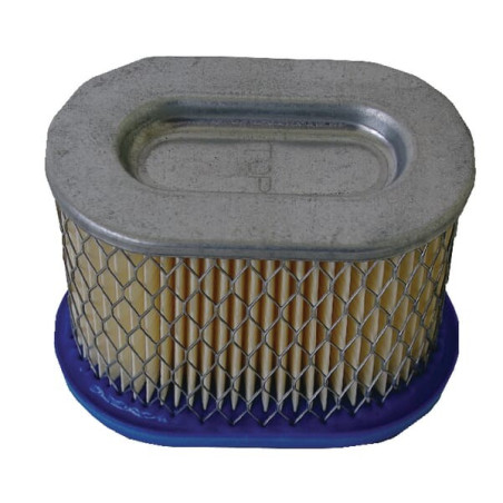 Filtre BRIGGS ET STRATTON 4224