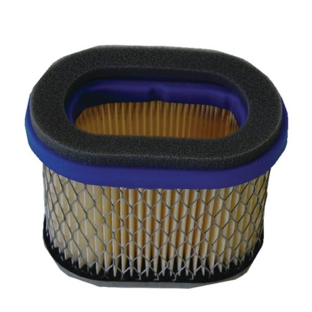 Filtre BRIGGS ET STRATTON 4224