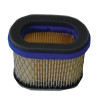 Filtre BRIGGS ET STRATTON 4224