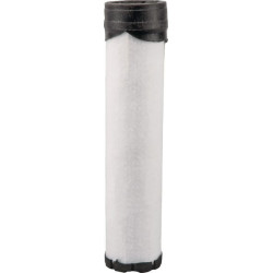 Filtre BRIGGS ET STRATTON 821136