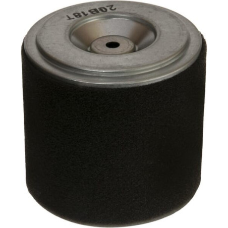 Filtre HONDA 17210Z0V781