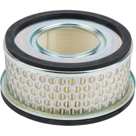 Filtre FLEETGUARD AF25221