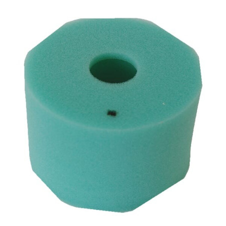 Filtre BRIGGS ET STRATTON 270093