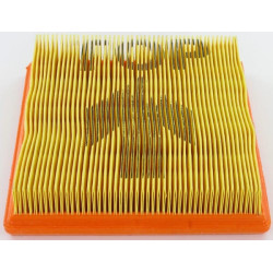 Filtre LOMBARDINI 2175134
