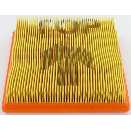 Filtre LOMBARDINI 2175134