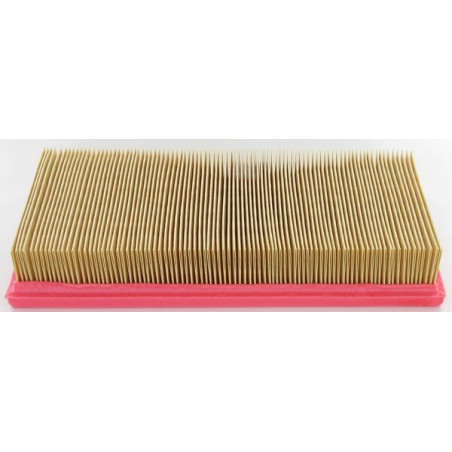 Filtre LOMBARDINI 2175165