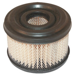 Filtre BRIGGS ET STRATTON 390492