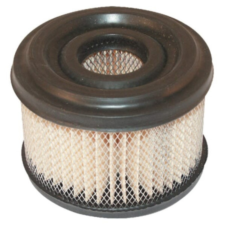 Filtre BRIGGS ET STRATTON 390492