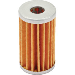 Filtre FENDT F716961020330