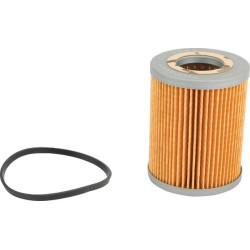Filtre FLEETGUARD FF5364