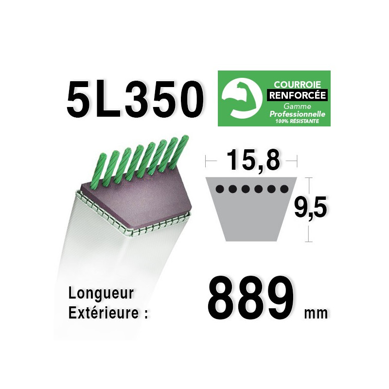 Courroie De Transmission Pour Platine Vinyle JVC L-L1, L-A11, AL-A1, AL-F350, AL-F330 - Pièce De Rechange Neuve