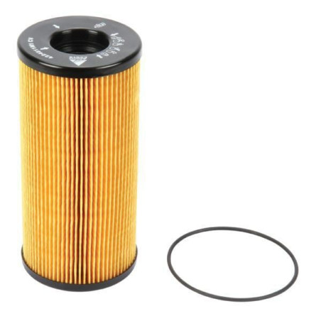 Filtre MASSEY FERGUSON 4224811M1