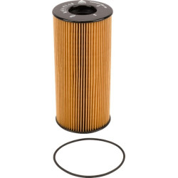 Filtre MERLO MEP00690