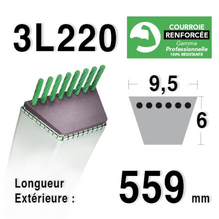 Courroie 9.5mm x 559mm - 3L22 - KEVLAR