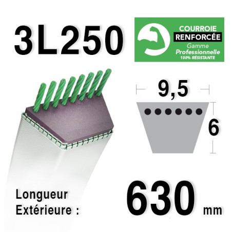 Courroie 9.5mm x 630mm - 3L25 - KEVLAR