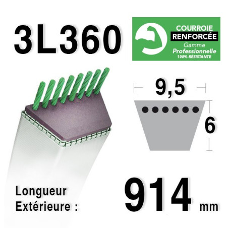 Courroie 9.5mm x 914mm - 3L36 - KEVLAR