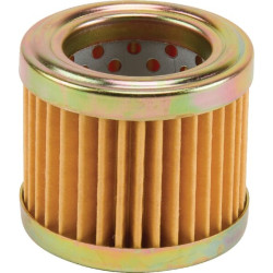 Filtre FLEETGUARD FF5131