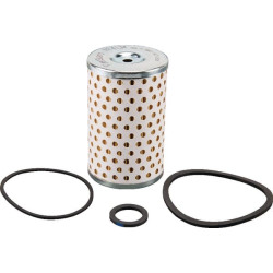Filtre FLEETGUARD FF4134