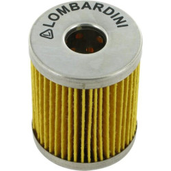 Filtre LOMBARDINI 2175032