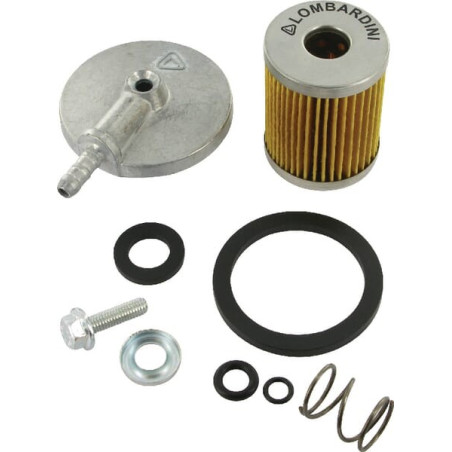 Filtre LOMBARDINI 3730028