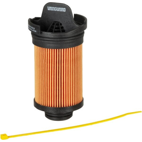 Filtre BRIGGS ET STRATTON 595930