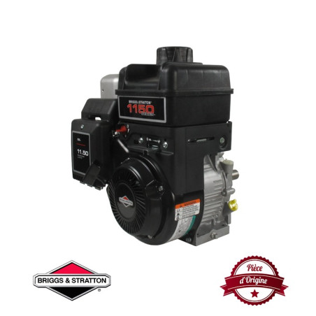 Moteur complet BRIGGS ET STRATTON 245cc 1150 series INTEK OHV