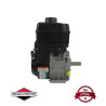 Moteur complet BRIGGS ET STRATTON 245cc 1150 series INTEK OHV