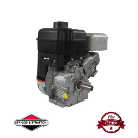 Moteur complet BRIGGS ET STRATTON 245cc 1150 series INTEK OHV