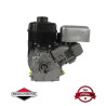 Moteur complet BRIGGS ET STRATTON 245cc 1150 series INTEK OHV