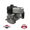 Moteur complet BRIGGS ET STRATTON 245cc 1150 series INTEK OHV