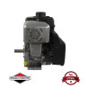 Moteur complet BRIGGS ET STRATTON 245cc 1150 series INTEK OHV