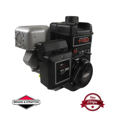 Moteur complet BRIGGS ET STRATTON 245cc 1150 series INTEK OHV