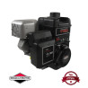 Moteur complet BRIGGS ET STRATTON 245cc 1150 series INTEK OHV