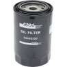 Filtre CNH 84408250