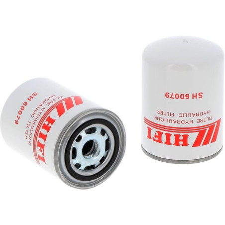 Filtre HIFI-FILTER SH60079