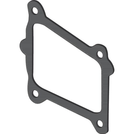 Joint BRIGGS ET STRATTON 597318