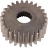 Engrenage CNH 81866552