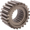 Engrenage CNH 5128392