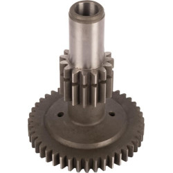 Engrenage RECINSA 5118921N