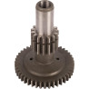 Engrenage RECINSA 5118921N