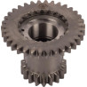 Engrenage RECINSA 5144911N
