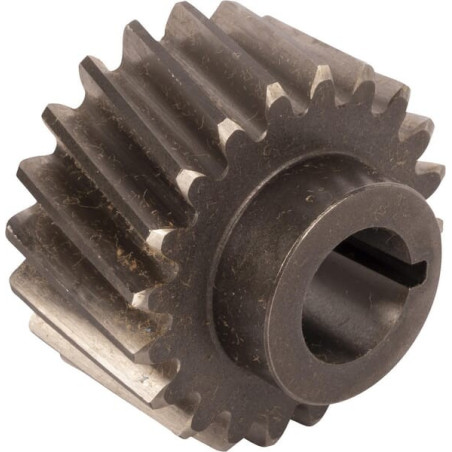Engrenage LANDINI 3671697M3